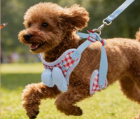 Arnés de Pecho y Correa para Perros Pequeños