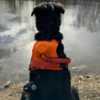 Arnés para perros DoggyKing