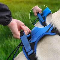 Arnés para perros DoggyKing