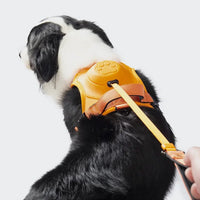 Arnés para perros DoggyKing