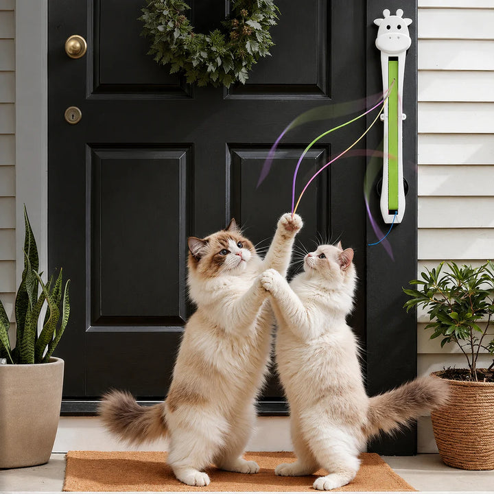 Juguete para gatos con cuerda voladora de movimiento automático
