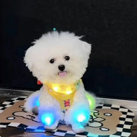 Zapatos Chewie Viral Lights