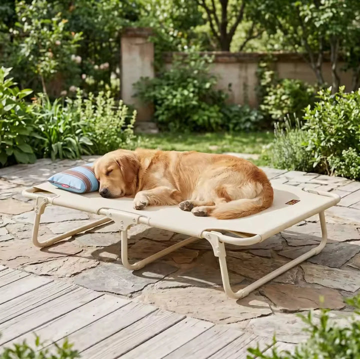 Cama elevada para mascotas