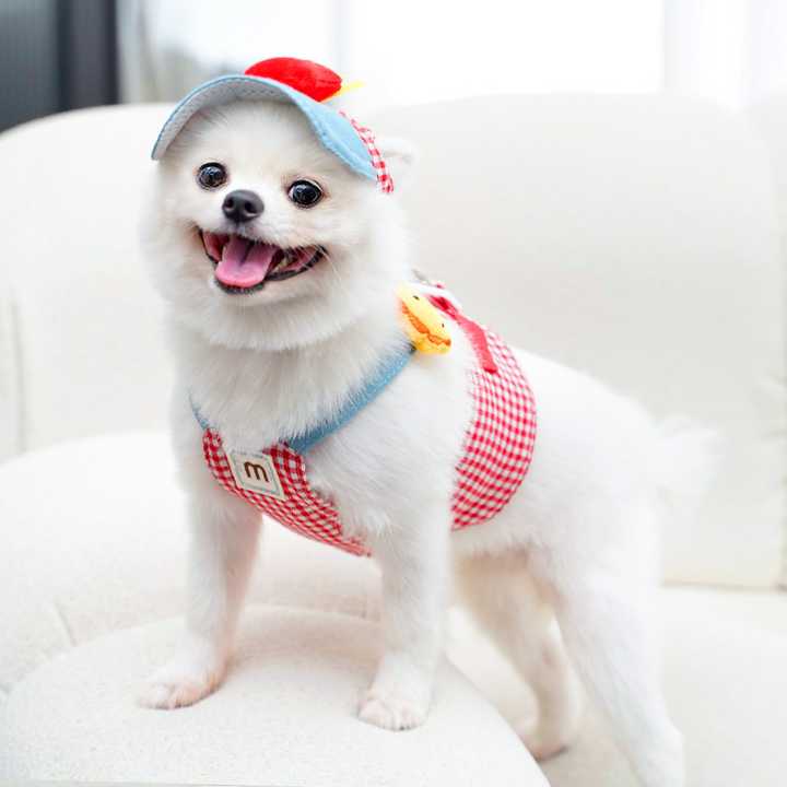 Disfraz adorable para perros