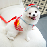 Disfraz adorable para perros