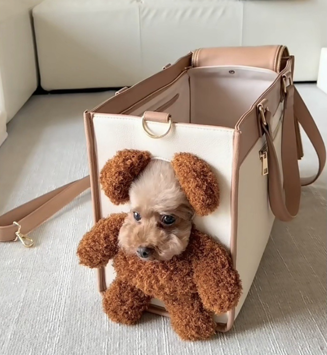 Bolso de transporte Teddy para perros pequeños
