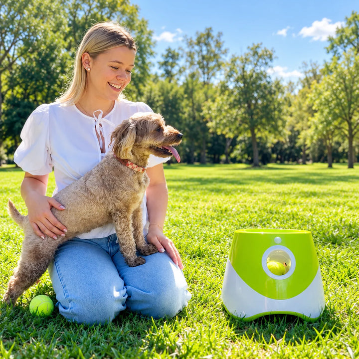 Lanzador automático de pelotas para perros