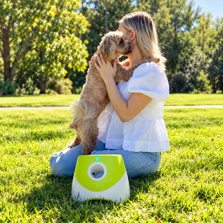 Lanzador automático de pelotas para perros