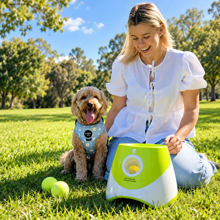 Lanzador automático de pelotas para perros