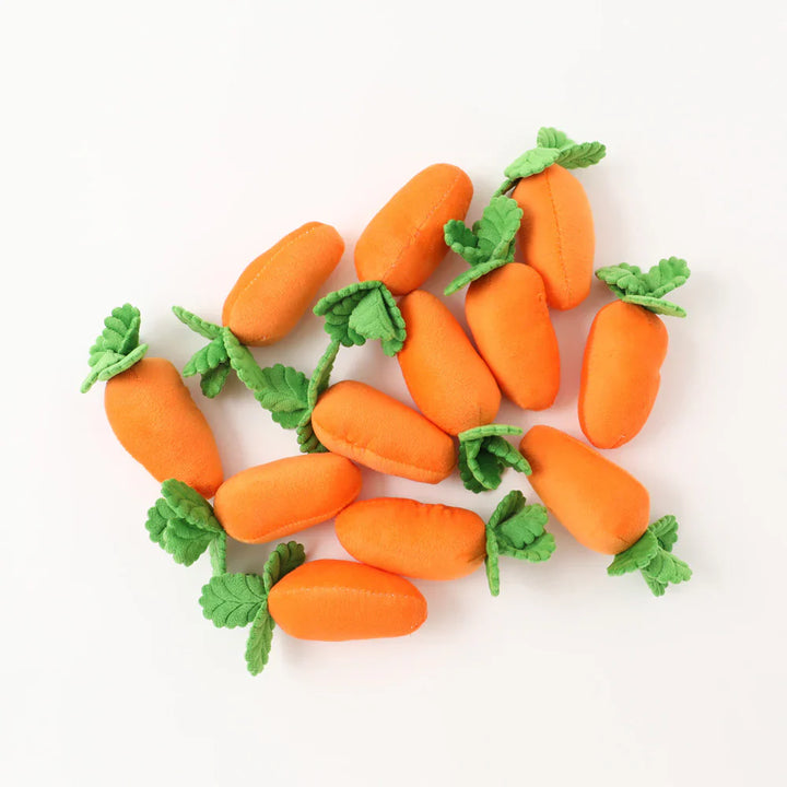 Juguete para perros Carrot Patch