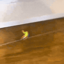 GIF