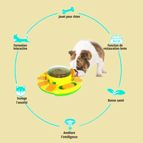Juguete Dispensador  Interactivo Mascotas