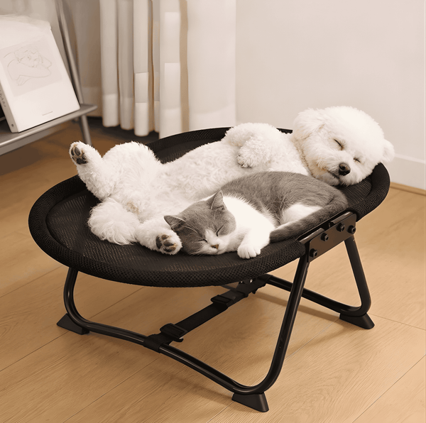 PETCOMFORT | Cama Plegable Premium