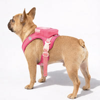 Mochila arnes para perritos