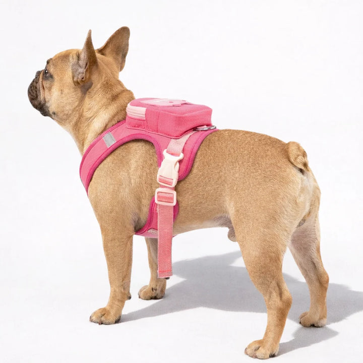 Mochila arnes para perritos