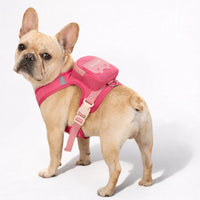 Mochila arnes para perritos