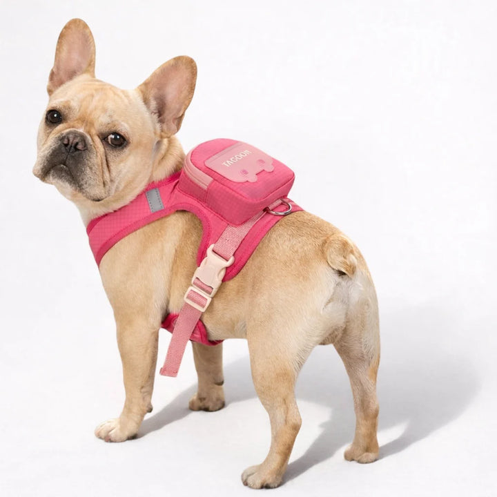 Mochila arnes para perritos