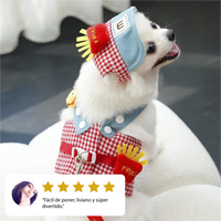 Disfraz adorable para perros