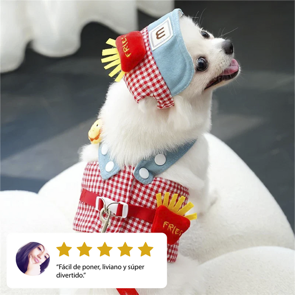 Disfraz adorable para perros