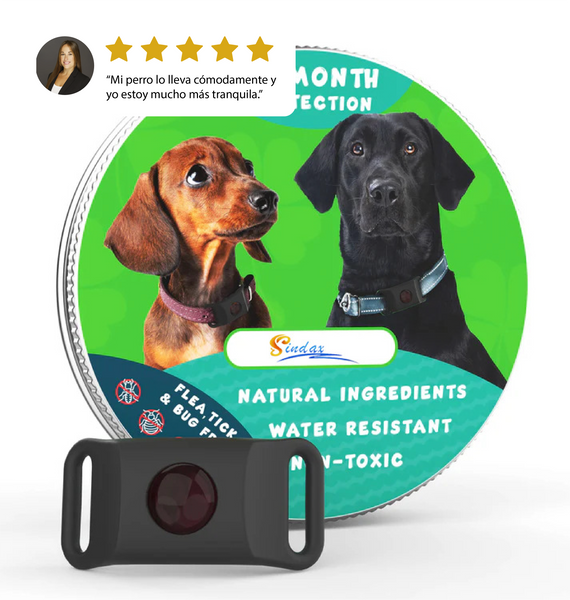 Collar Antipulgas Ajustable para Perros y Gatos