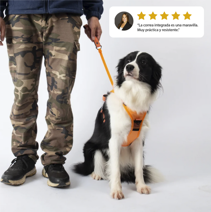 Arnés para perros DoggyKing