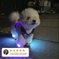 Zapatos Chewie Viral Lights
