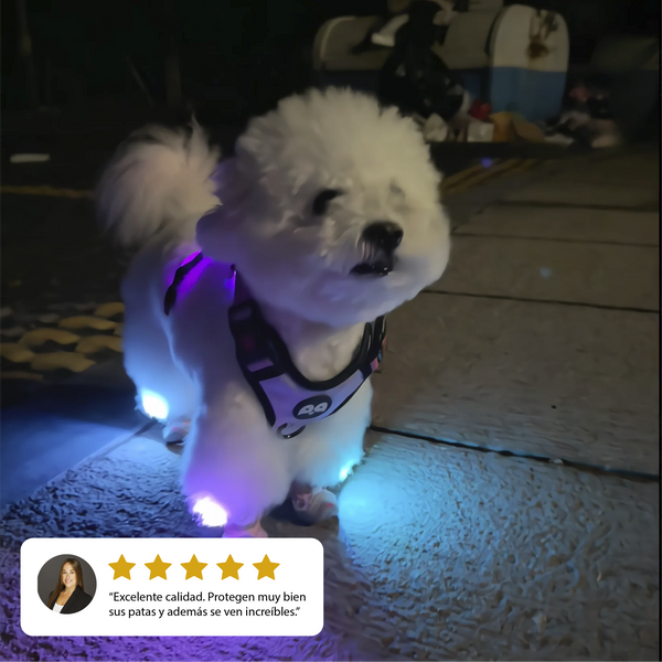 Zapatos Chewie Viral Lights x 2 Unidades