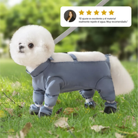 Pantalones protectores impermeables para perros