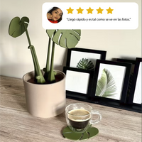 Divertido macetero 2 en 1