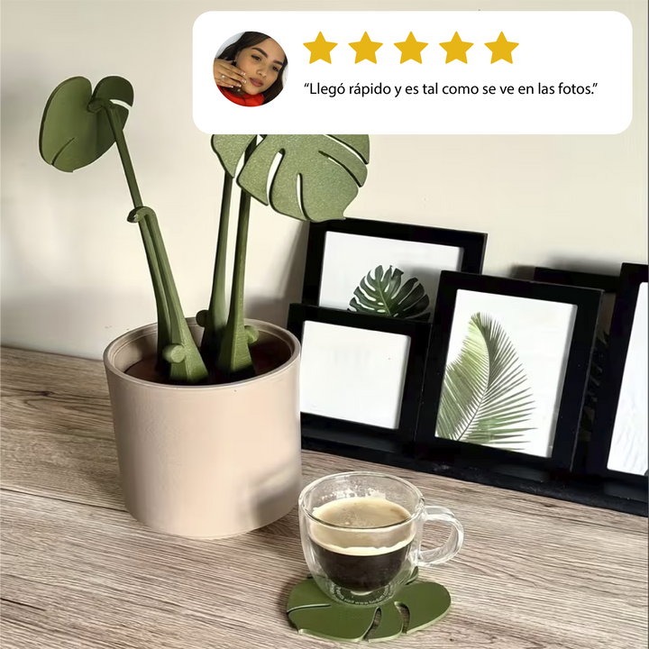 Divertido macetero 2 en 1