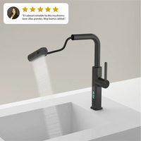 Grifo de cocina con cascada extraíble