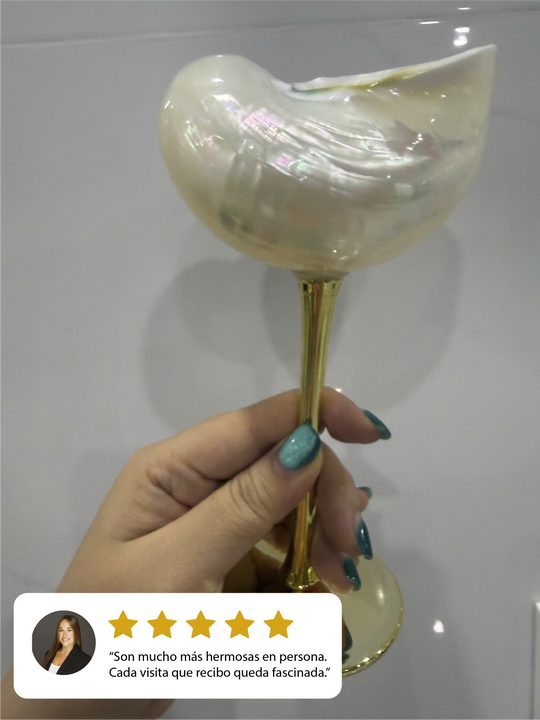 Copa de Vino con Conchas Marinas