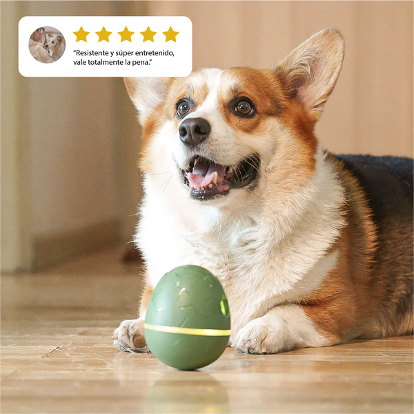Wicked Egg (juguete inteligente para mascotas)
