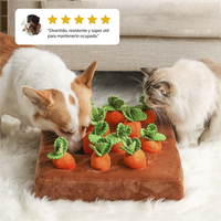 Juguete para perros Carrot Patch