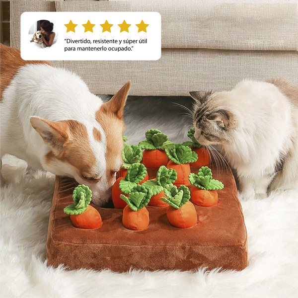 Juguete para perros Carrot Patch