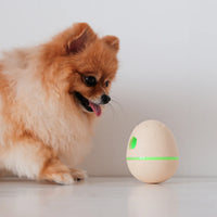 Wicked Egg (juguete inteligente para mascotas)