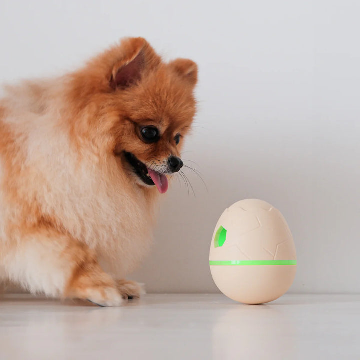 Wicked Egg (juguete inteligente para mascotas)