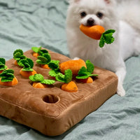 Juguete para perros Carrot Patch