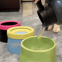 GIF