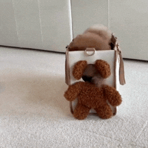 GIF