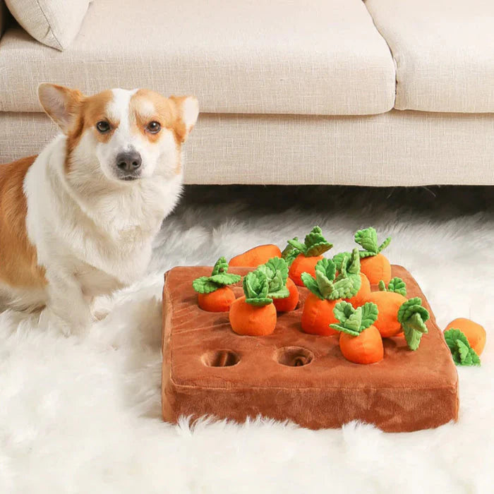 Juguete para perros Carrot Patch