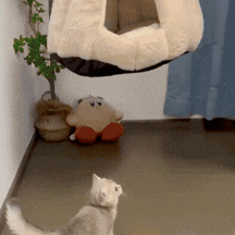 GIF