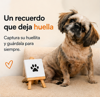 Mini lienzo huella mascotas