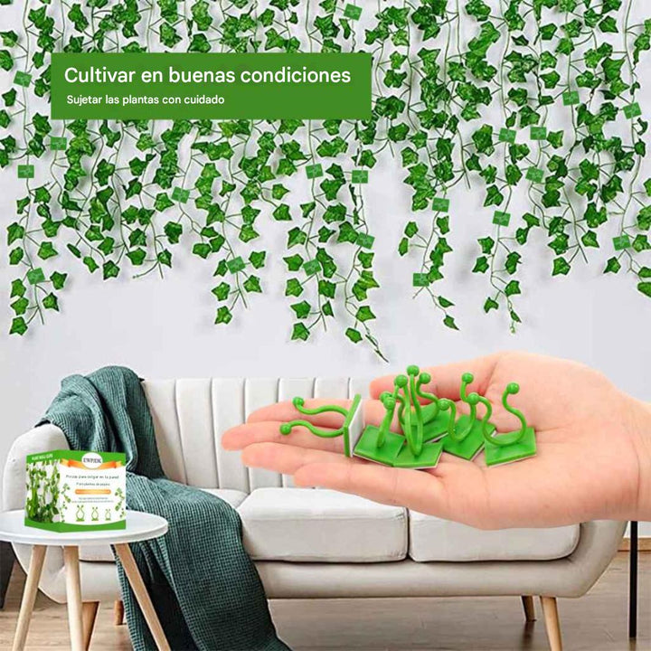 Clips de pared para plantas trepadoras