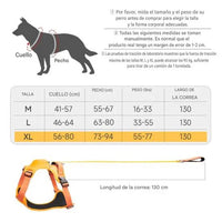 Arnés para perros DoggyKing