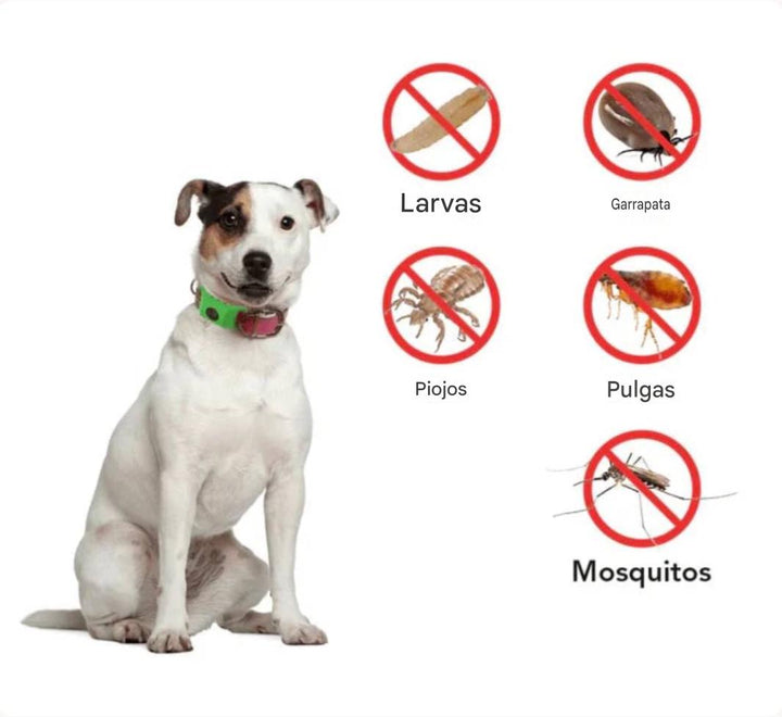 Collar Antipulgas Ajustable para Perros y Gatos