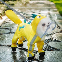 capucha impermeable para perros