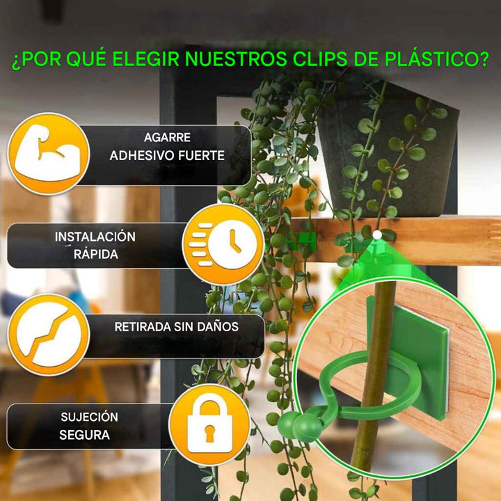Clips de pared para plantas trepadoras