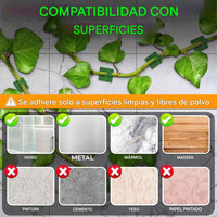Clips de pared para plantas trepadoras