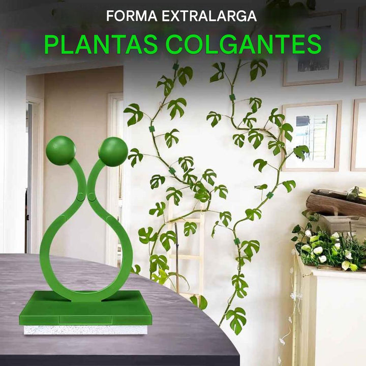Clips de pared para plantas trepadoras